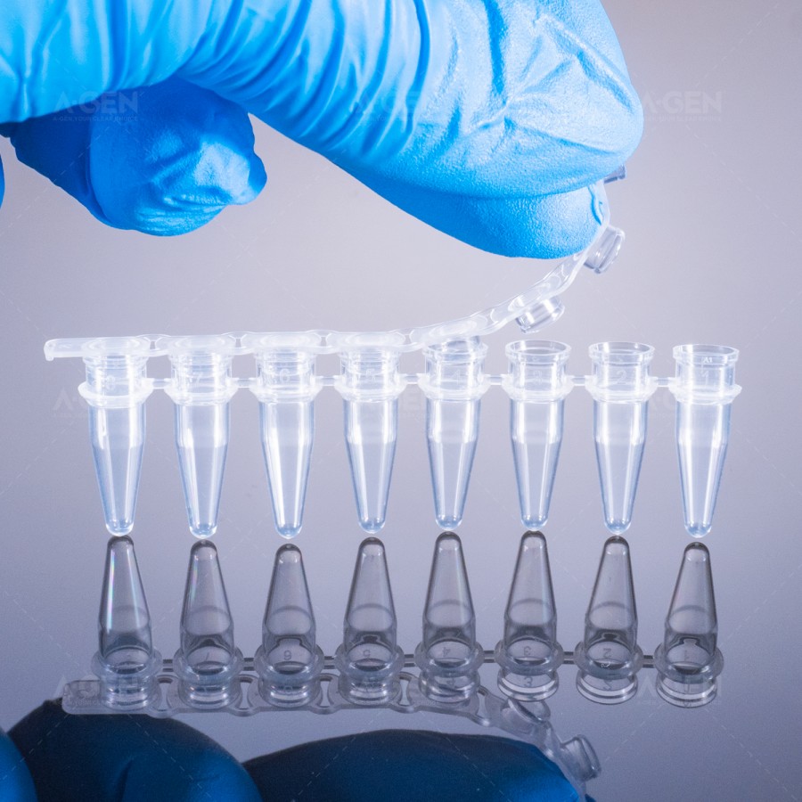 100μL，PCR 八连管、透明