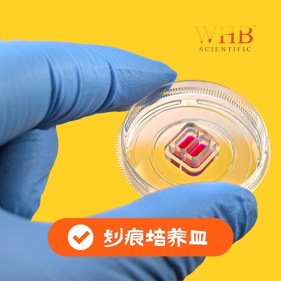 TC处理35mm细胞划痕培养皿，玻底20mm，500μm划痕，灭菌